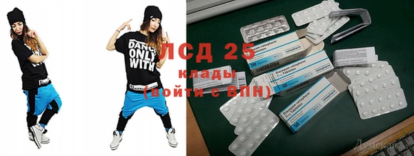 амф Новозыбков
