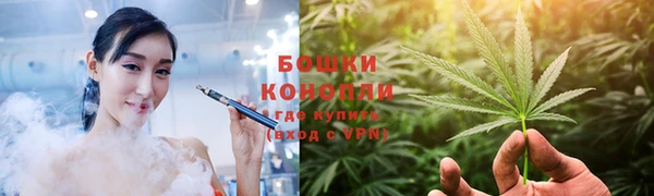 альфа пвп Новодвинск