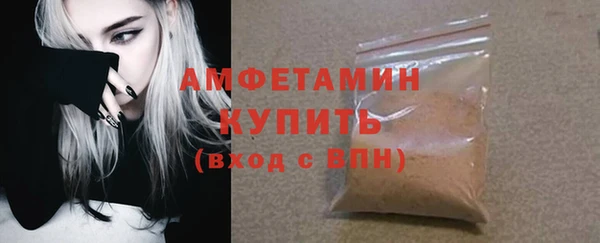 амф Новозыбков
