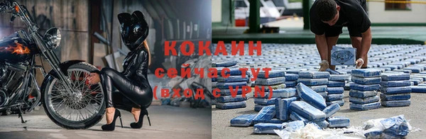 амф Новозыбков