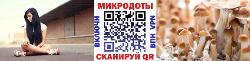 Псилоцибиновые грибы GOLDEN TEACHER это формула Нелидово