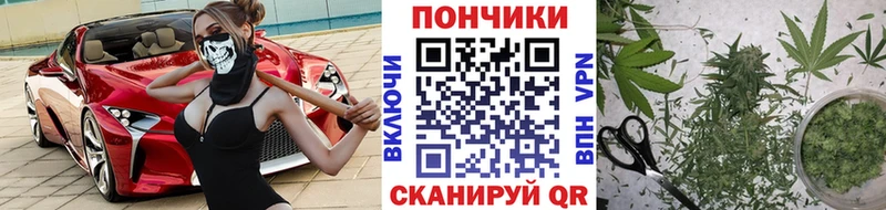продажа наркотиков  кракен зеркало  Канабис конопля  Нелидово 